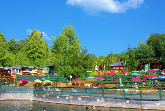 EXCURSIE 1 ZI BAILE SARATE TELEGA - 20.06.2026- 140 ron/pers